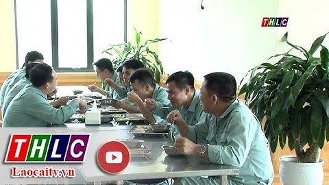 Đảm bảo an toàn thực phẩm tại bếp ăn tập thể | THLC
