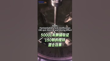 5000L Fermentation Tank Verification: 150 rpm Stirring and Mixing Effect #fermenter #bioreactor