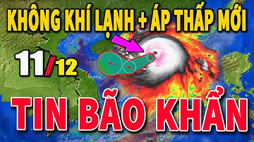 Dự báo thời tiết hôm nay và ngày mai 11/12 Dự báo thời tiết trong 3 ngày tới #thoitiet