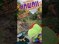 Hawaii Waterfall Hike with Green Bear &amp; Doug the Dinosaur #kidtimestorytime  #hawaii  #kidshort