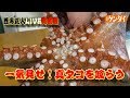 【一気見せ！】＜西潟正人のタコ料理＞完全版　how to fillet a anchovy,sashimi,Japanese