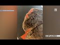 Potholes vs. Sinkholes: What's the Difference? | Explained (Episode 16)