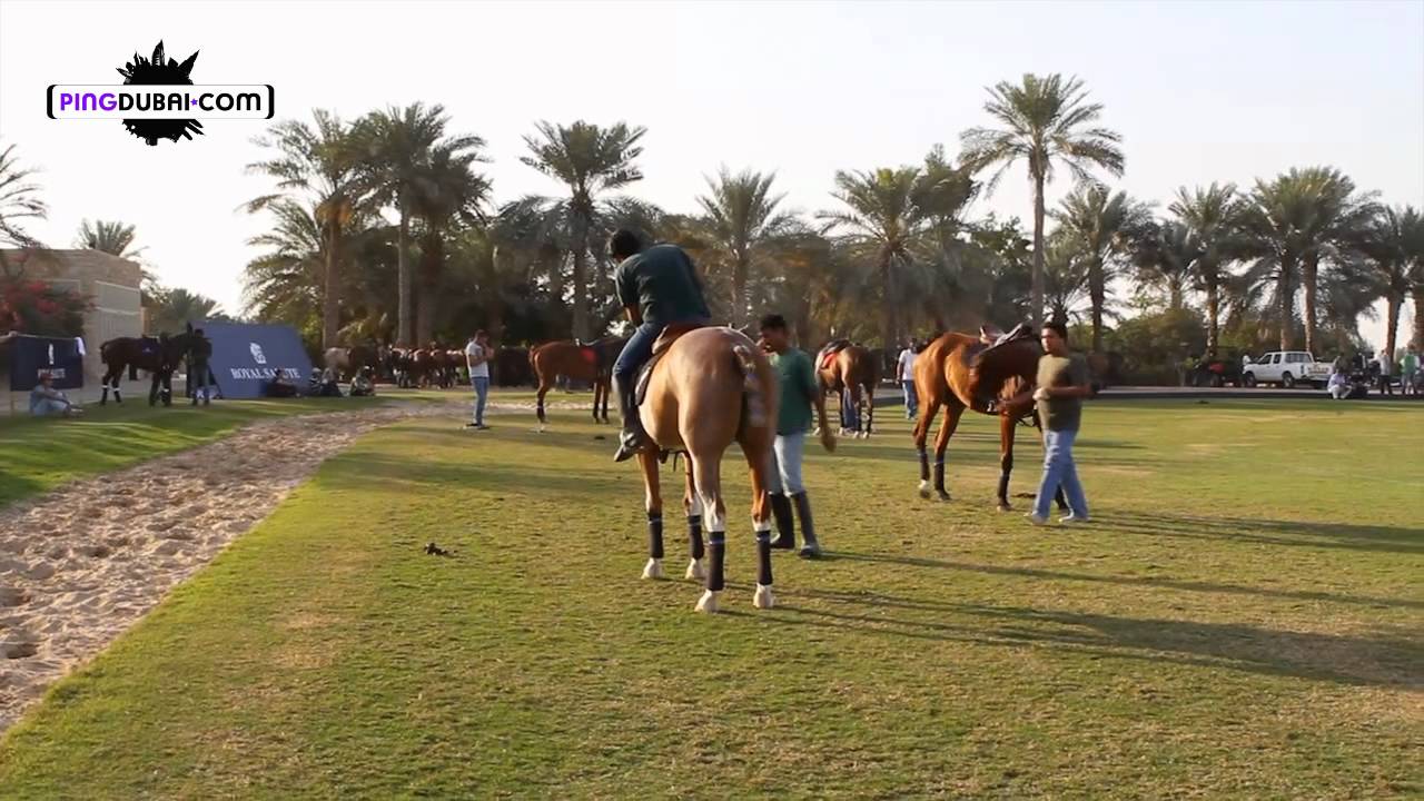Royal Salute Polo Cup @ Desert Palm