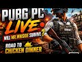 Will I survive till the END ? 🔴 LIVE PUBG PC | Today’s Grind | Road to Chicken Dinner 🐔