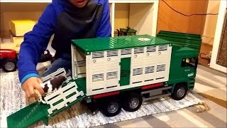 Bruder Toys: MAN Cattle Transportation Truck with Cow Figure (Bruder 02749) screenshot 2
