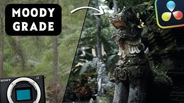 Sony ZV-E10 S-Log2 Moody Color Grade [Davinci Resolve]