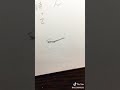 「まあ私なんだけどね!」これクソワロタwwwwwww  tiktok厳選集#2