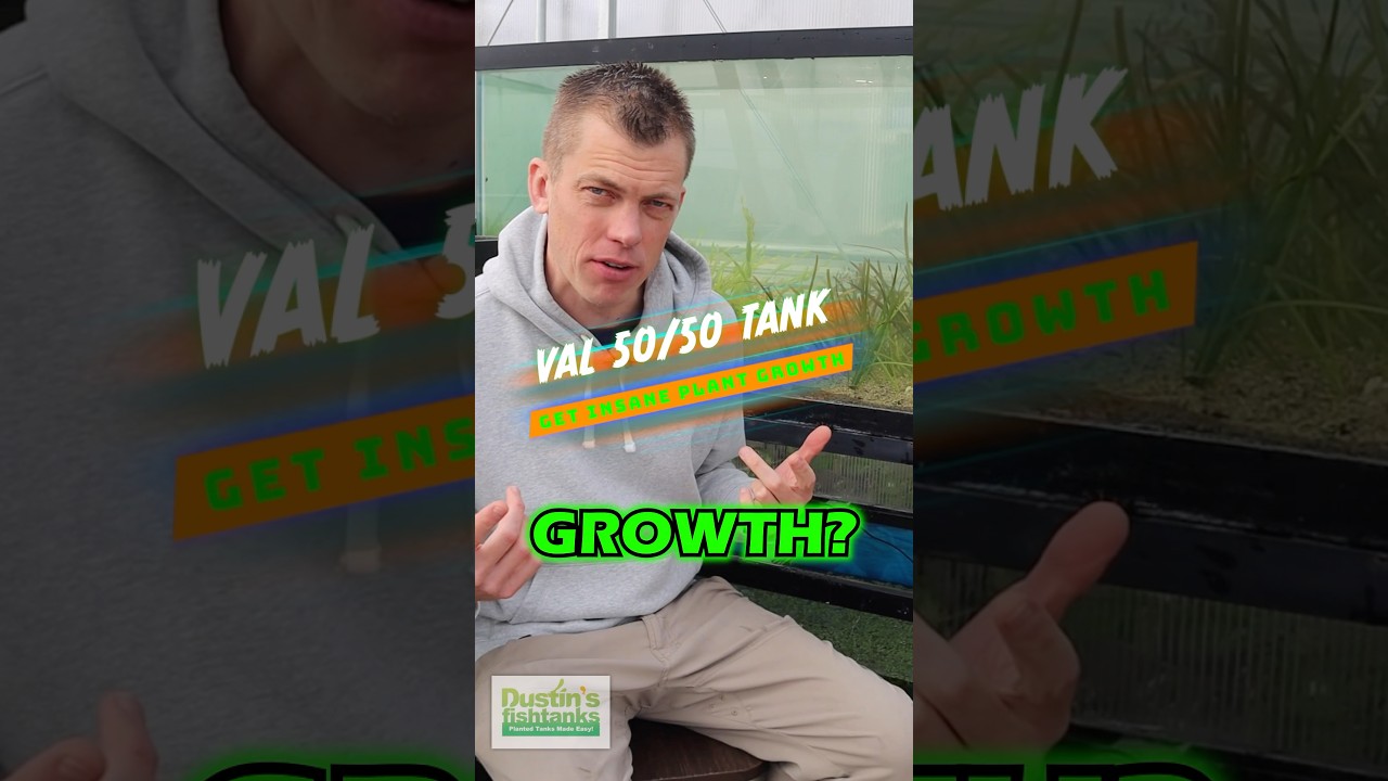 🏆 ЛУЧШЕЕ ЗА 2025 ГОД 🏆 Как добиться невероятного роста растений