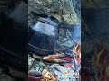 اغاني كردية كوباني سوريا روجافا اغاني كردية كوباني سوريا روجافا
