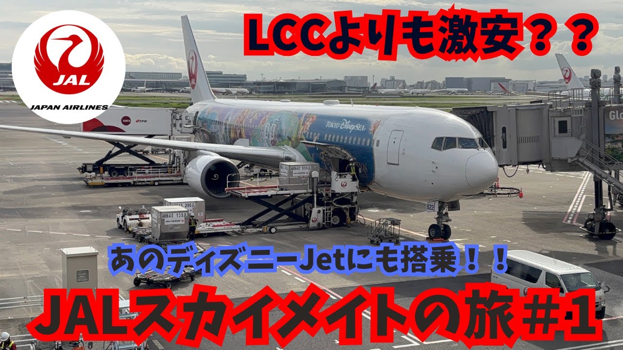 【LCCより安い？】片道5,000円で飛行機乗り放題！！JALに乗りまくる空の旅をやってみたら・・・： JALスカイメイト旅①