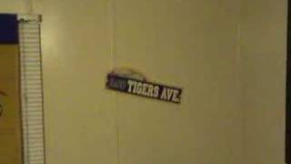 My LSU Room