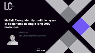 MeSMLR-seq: identify multiple layers of epigenome at single long DNA molecules - Kin Fai Au