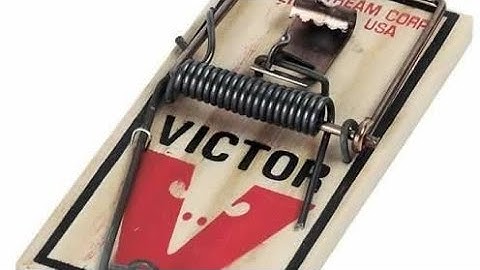 Amazing Mouse Trap complation