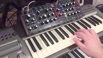 Behringer Model D - Uriah Heep - Wonderworld Minimoog intro