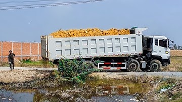 NICELY! START Project  LANDFILL By Excellent Skill Operator Dozer SHANTUi DH17c2 Pushing &Dump Truck