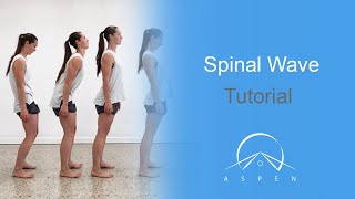 Spinal Wave Tutorial