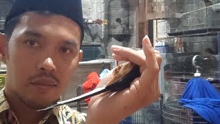 Larwo x medan