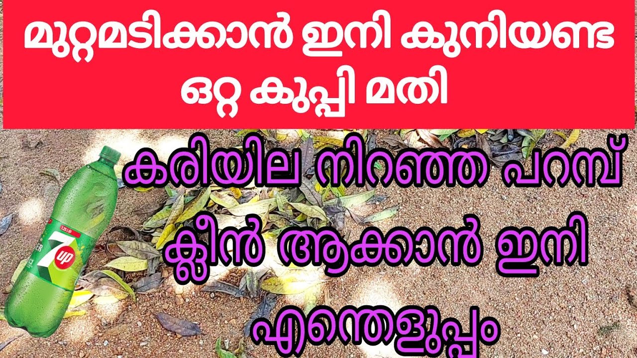 ഇതുണ്ടെങ്കിൽ മുറ്റമടിക്കാൻ ചൂൽ വേണ്ട, കുനിയണ്ട  | dried leaves cleaning idea