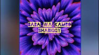 SHA BIGGY-BABA WA KAMBO (official music audio)