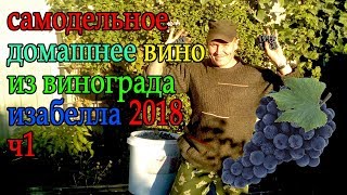 домашнее виноградное вино изабелла 2018ч1 домашнее виноградное вино изабелла 2018ч1