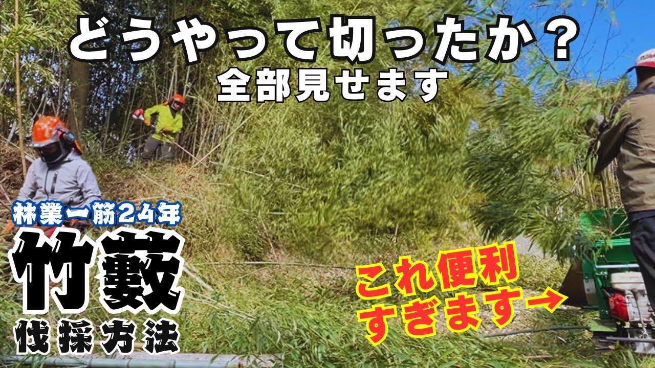 【超便利】竹藪の伐採方法。この機械で竹をコンパクトにできます。