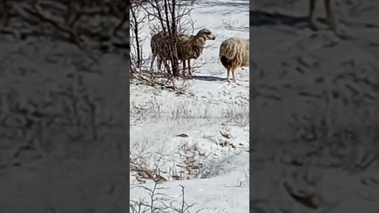 26 декабря 2021 г.