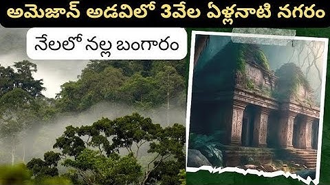 How the “lost cities” of the Amazon were finally found 🪙🪙🪙🪙