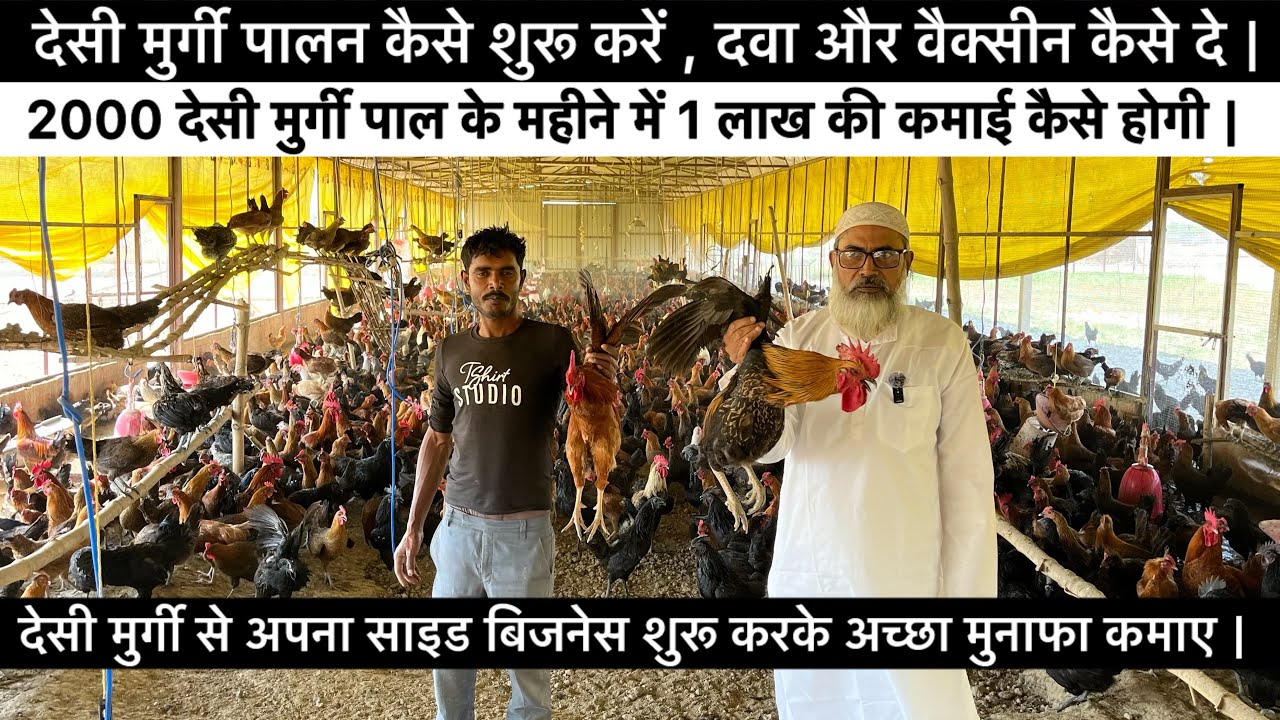 देसी मुर्गी पालन कैसे शुरू करें || Layer Farmi se kitna profit hoga || Desi poultry farming in UP