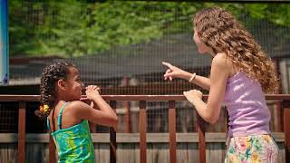 Knoebels Attractions