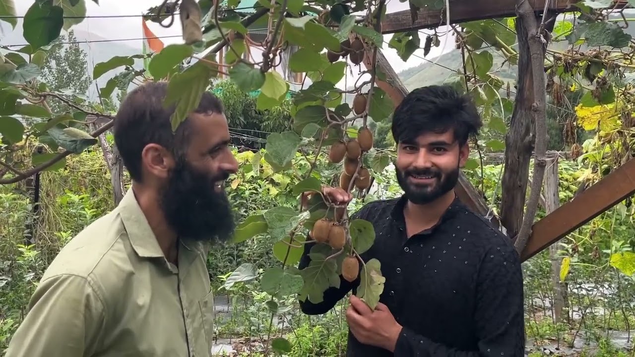 Kiwi potential in jammu and Kashmir 