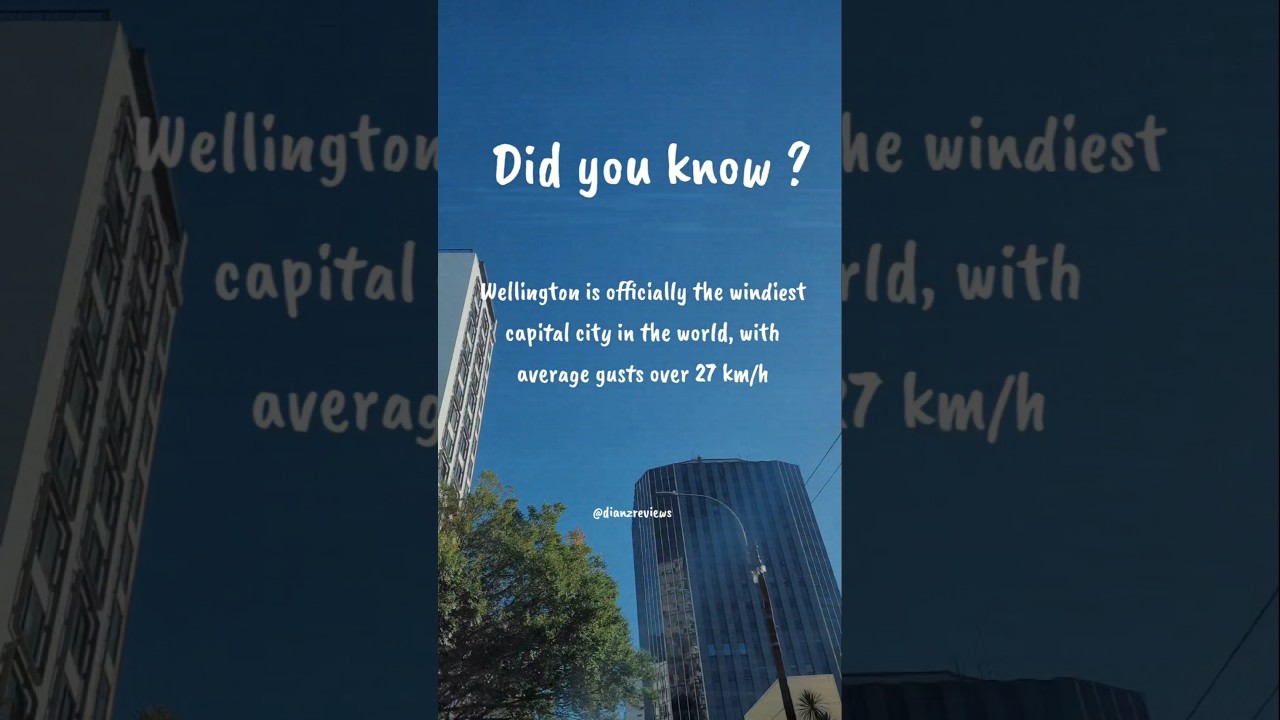 Wellington Fun Fact š¬ļøāØ