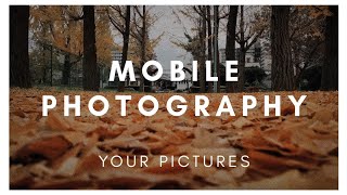 Mobile Photography | 7 Days 1 Photo | Seasonal Challenge screenshot 1
