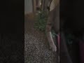 #cat My Best friend kicks me out of his house!!