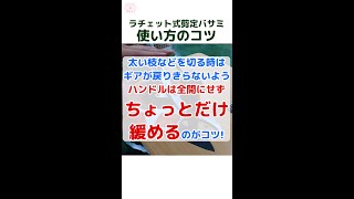 【ラチェット切鋏】剪定鋏で上手く切れない?!上手く切るコツを紹介します!!【藤原産業】#Shorts