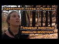 Девчонка в ЧЗО. Одиночный поход в Припять. Дикие животные подошли совсем близко. Часть 2.