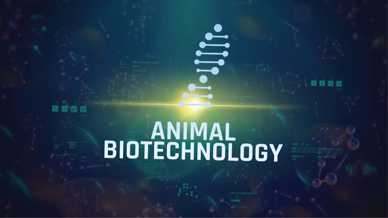 ANIMAL BIOTECHNOLOGY - Course