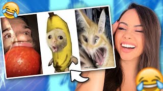 TRY NOT TO LAUGH 😂 Best Funny Videos 😆 #2 | Bunnymon REACTS