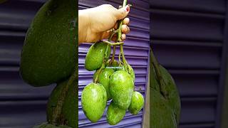 আম মাখা🥭🥭#shorts #trending #shortvideo #viral