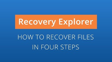 Recovery Explorer Professional: data recovery in 4 steps [SysDev Laboratories]