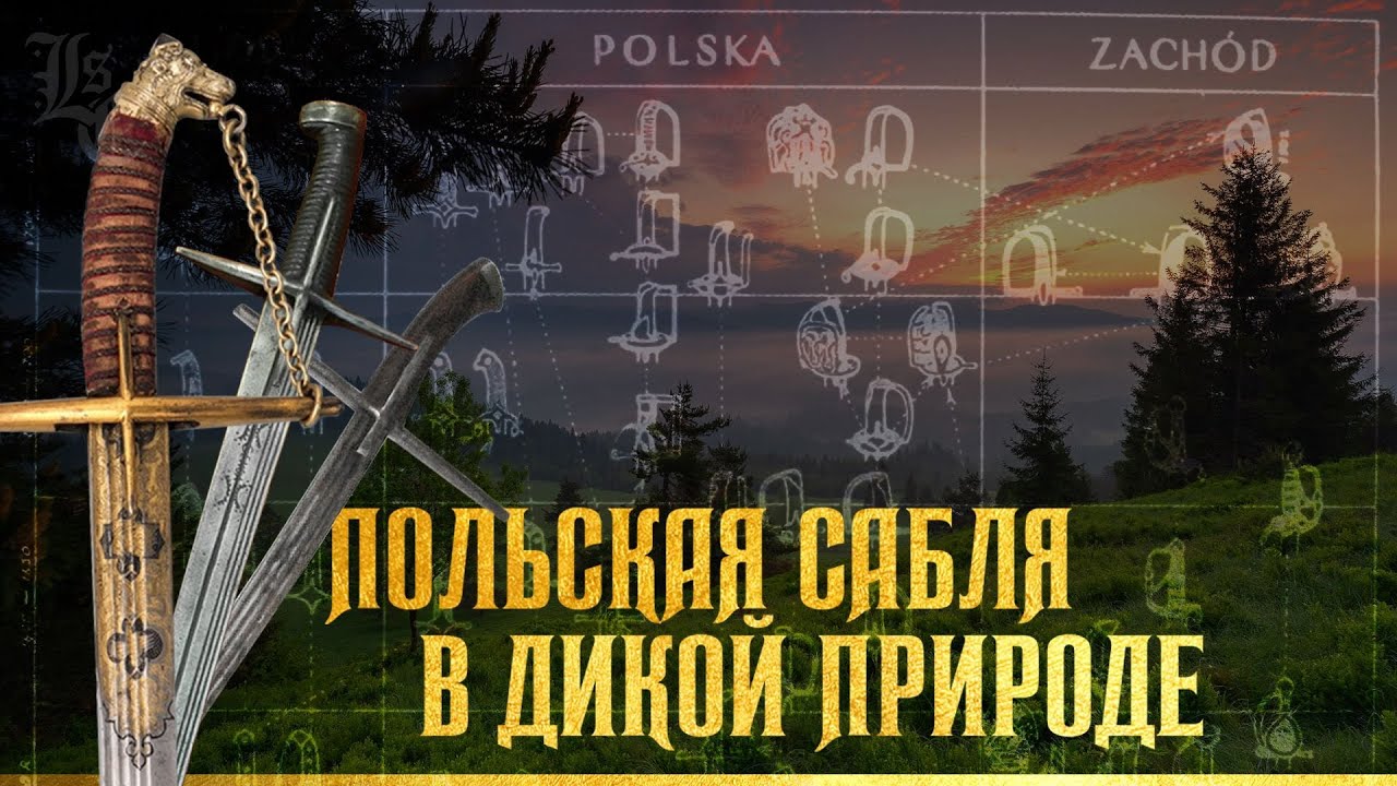 Машина 35 регион откуда Машина 35 регион откуда