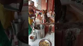 சித்திரை தேய்பிறை பிரதோஷம் அபிஷேகம்