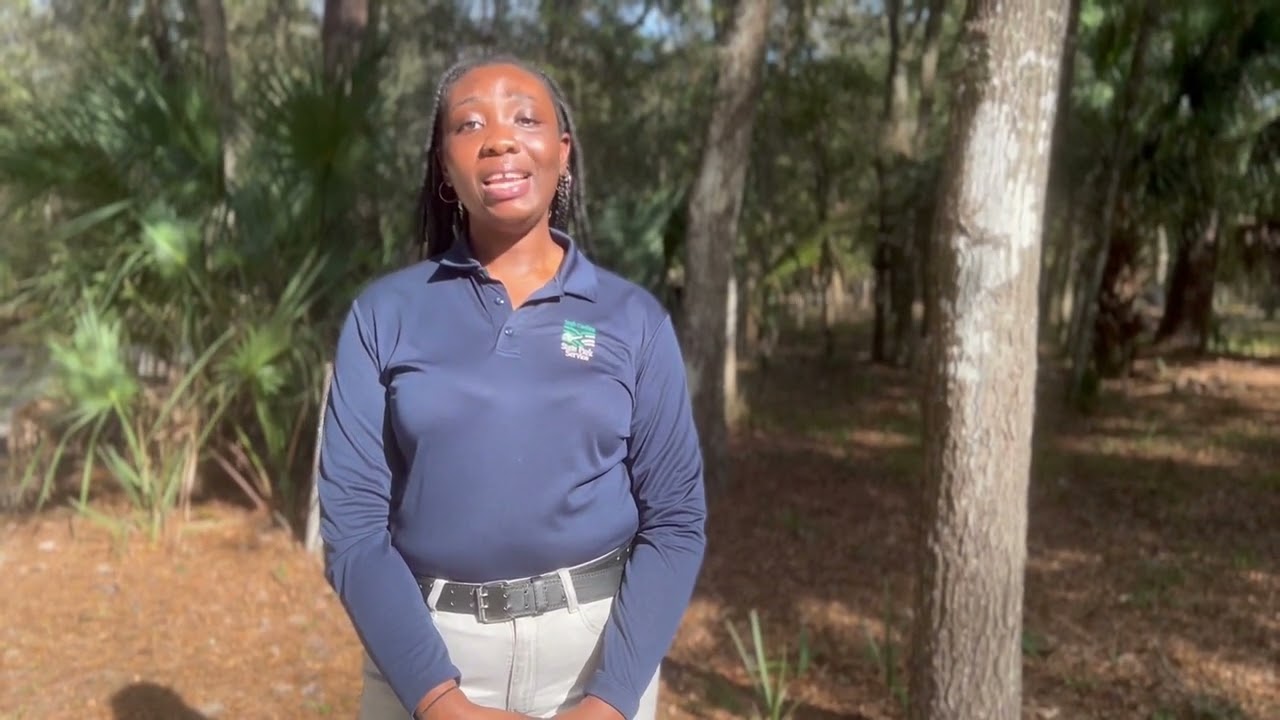 SC State Parks: Journey Towards Integration