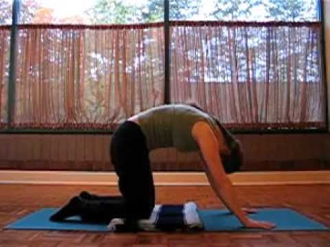 Cat Cow Spinal Undulation