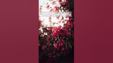 القرآن الكريم/ تلاوة خاشعة/ تلاوة / ترتيل / ترتيل القرآن الكريم