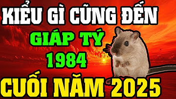 Tuổi Giáp Tý 1984 Rất Nhiều Việc Xảy Ra Trong Suốt Cuối Năm 2025, Chú Ý 8 Điều Này !