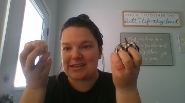 SPD 470 Technology Matrix Video