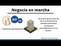 Nif a2 definicin de negocio marcha postulado