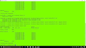 Create Broadcast Domain & add port NetApp Cmode 9.4