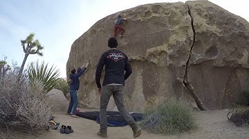 Joshua Tree - Planet X V6