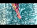 足／栗コーダーカルテット